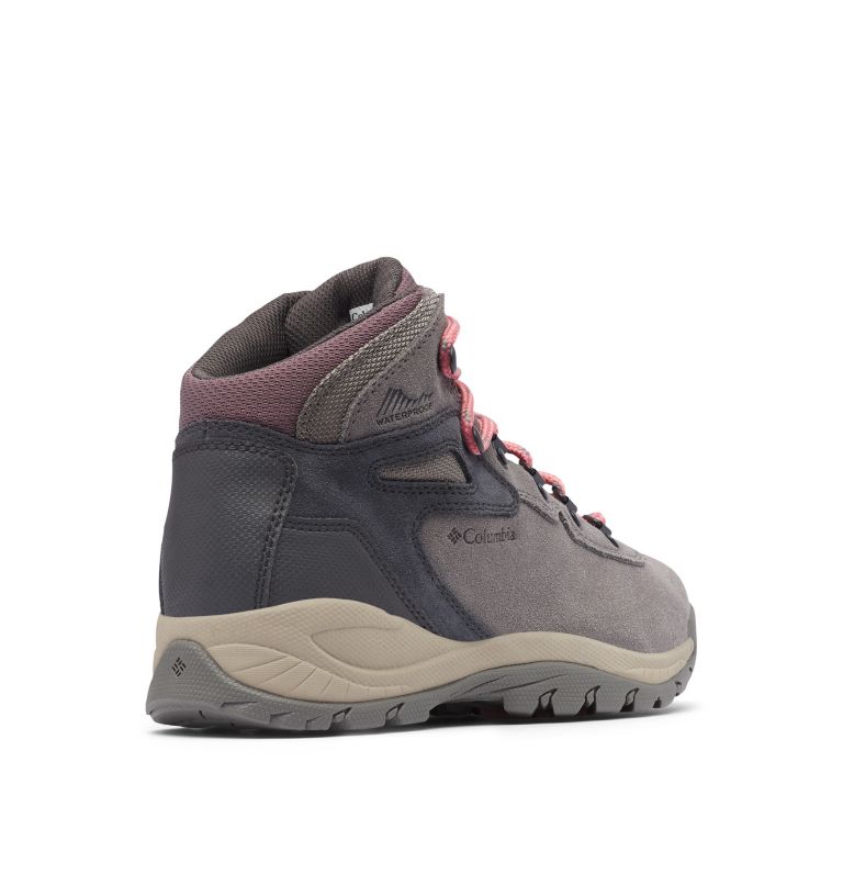 Columbia Newton Ridge™ Plus Waterproof Amped Women's Hiking Boots Rose | REU5761NY